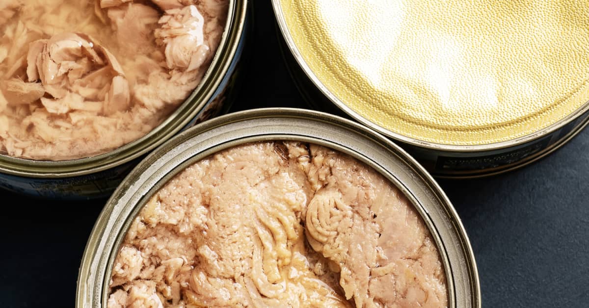 Canned Tuna Production Feasibility Study