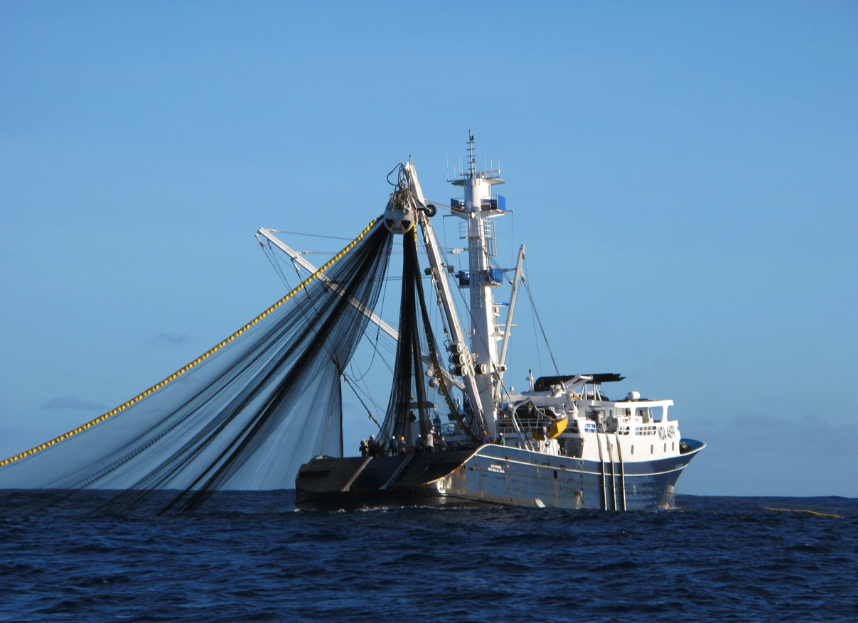 Offshore Fishing Project Feasibility Study