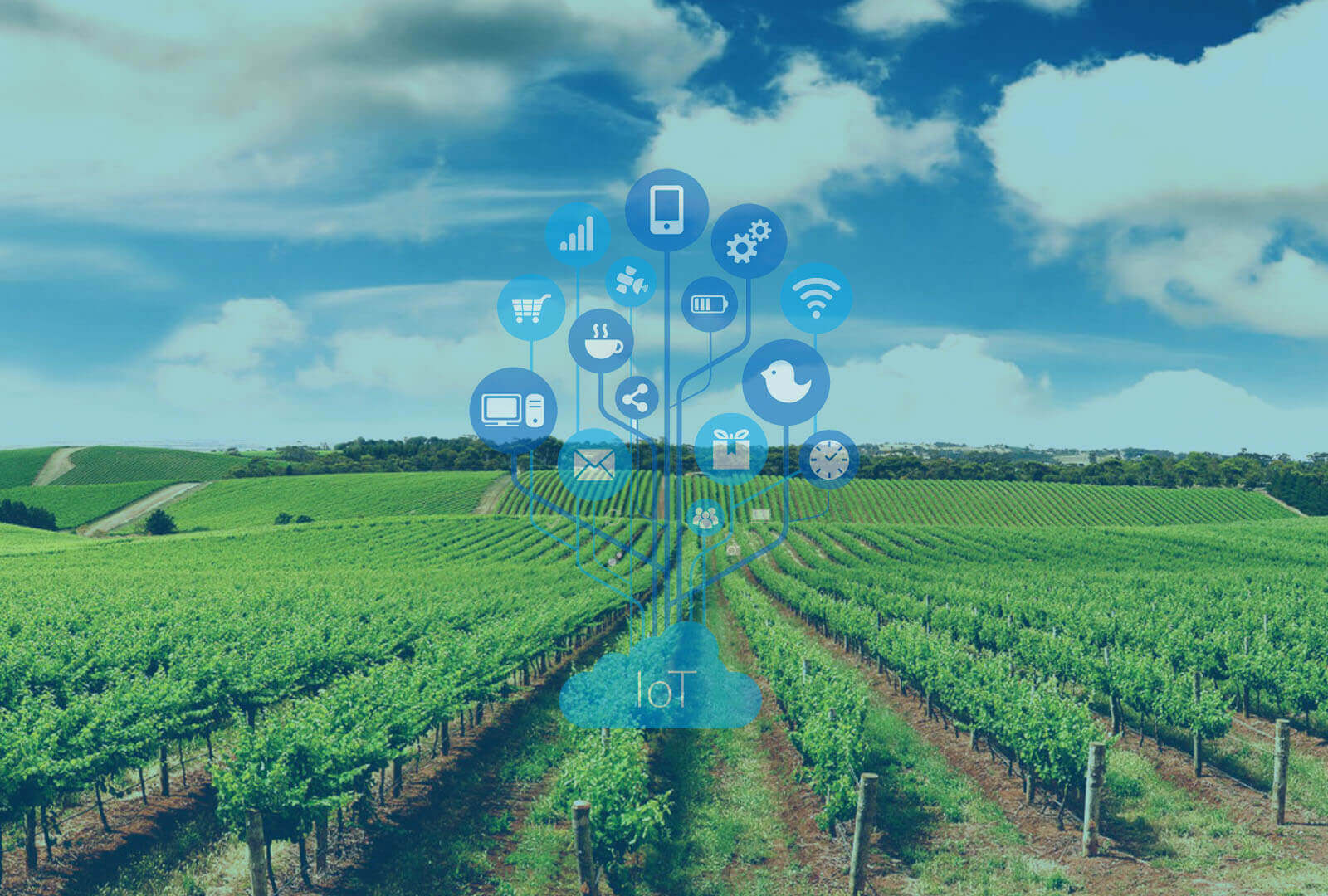 Study About IOT And AI Integration in Agriculture